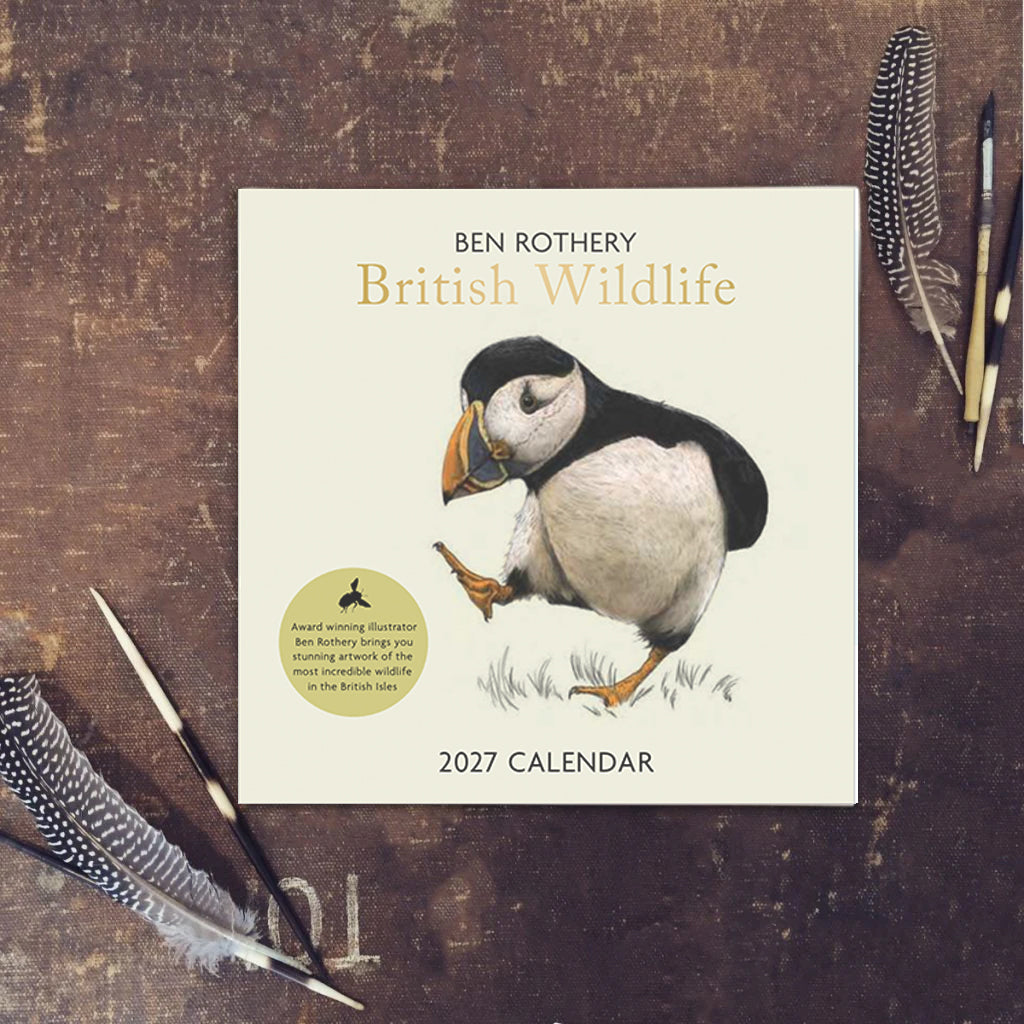 Limited edition - SQUARE 2027 Wall Calendar | Square Wall Calendar | British Wildlife Calendar
