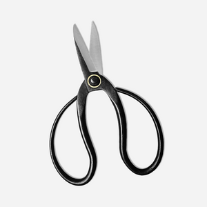 Carbon Steel Scissors / Bonsai Shears