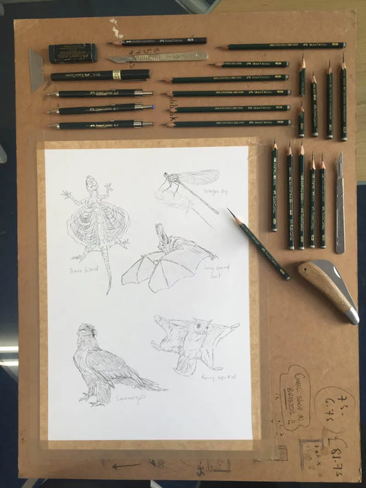 Wings Sketch