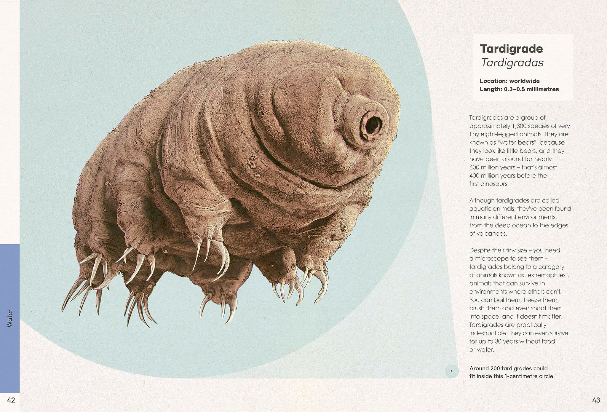 Weird & Wonderful