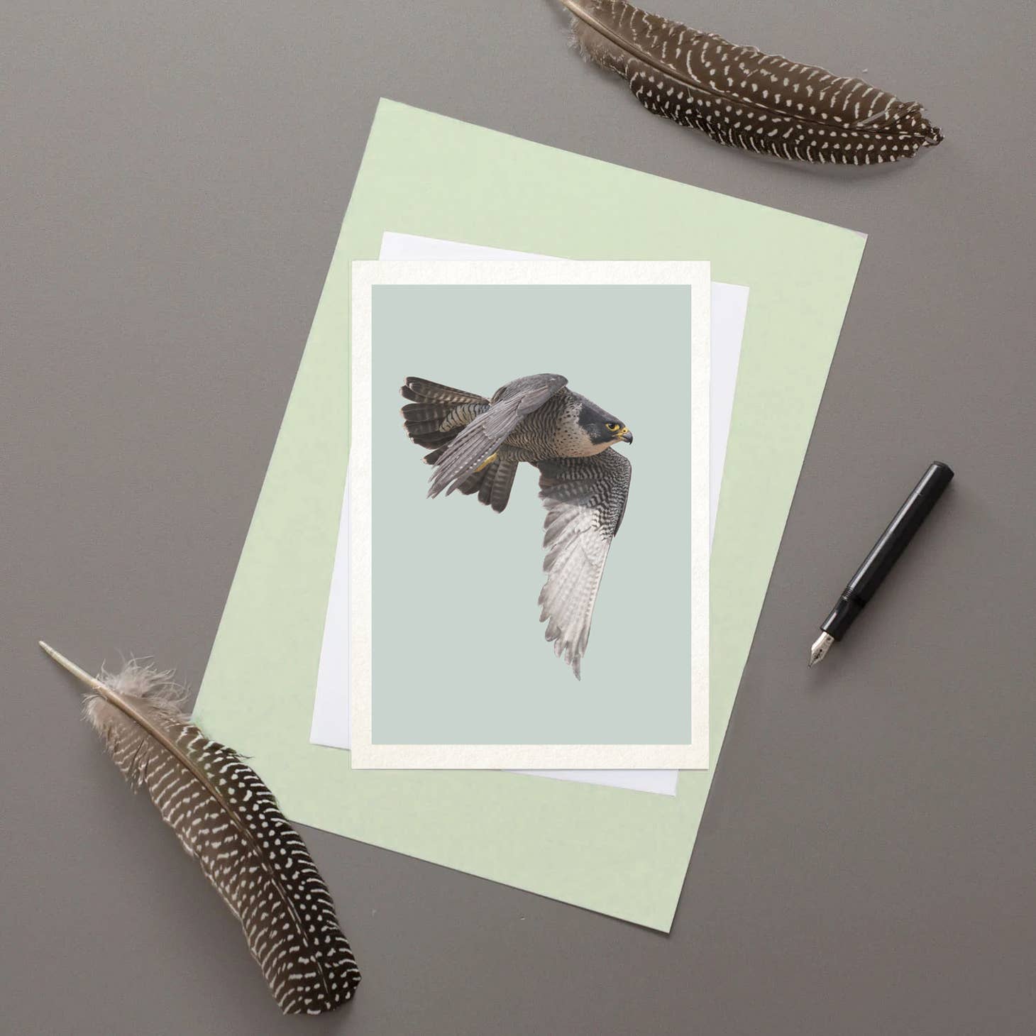 Peregrine Falcon - Greeting Card