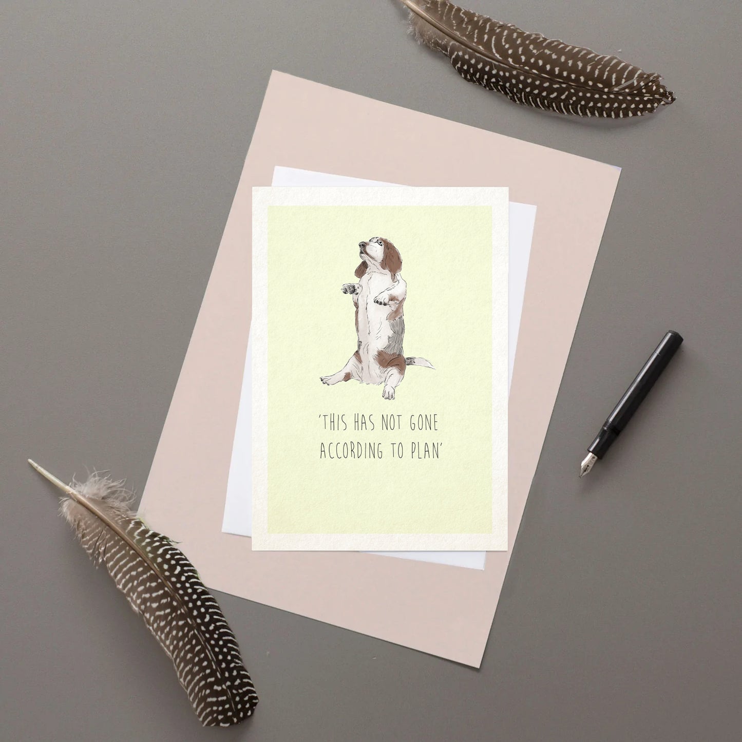 This has not gone according to plan - Greetings card