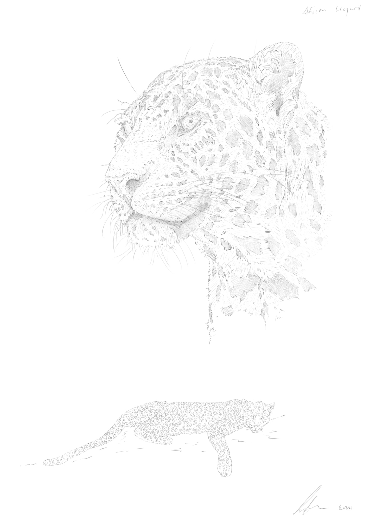 African Leopard Print | African Leopard | Leopard Print | Leopard Portrait | Big Cat | Cats