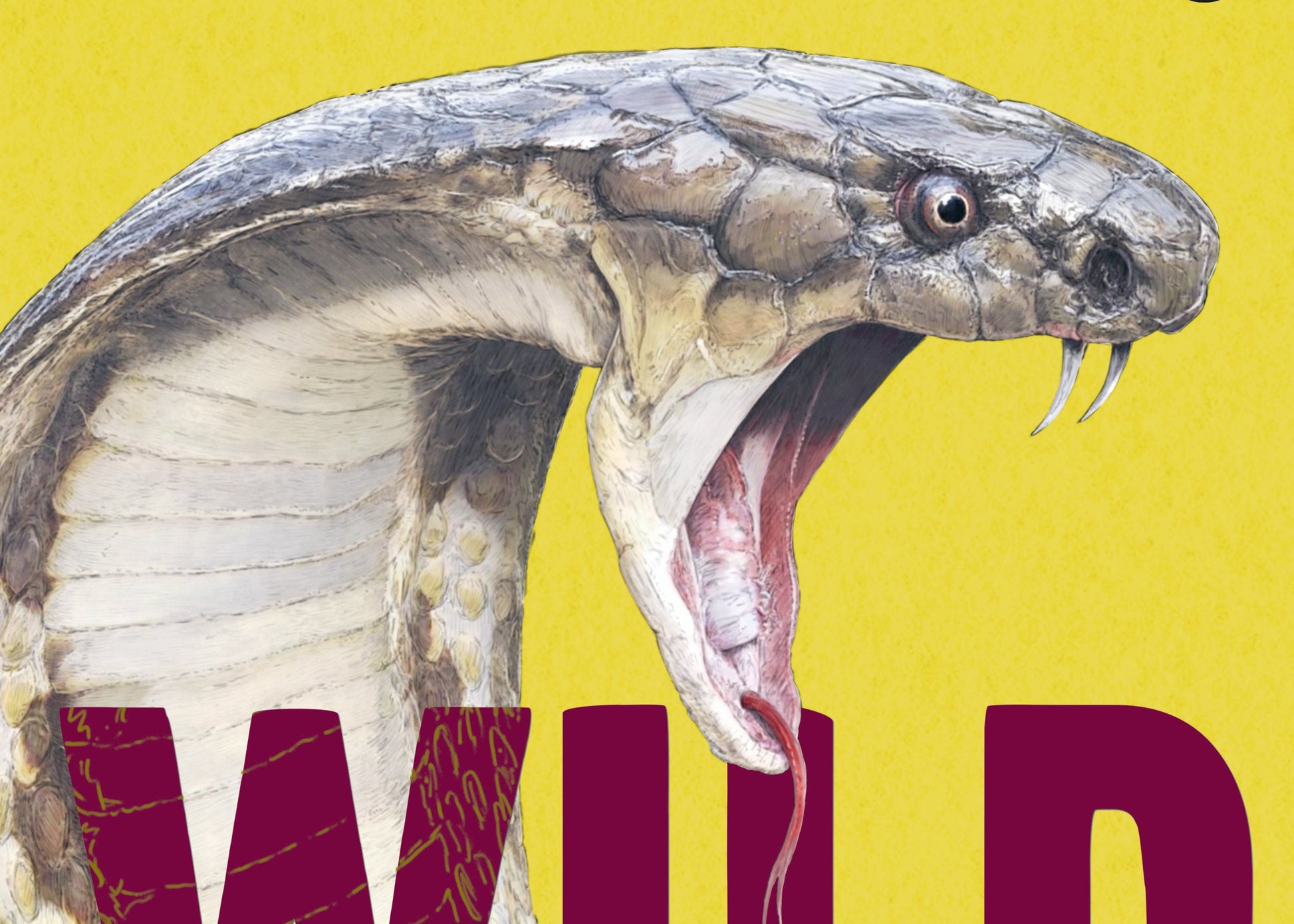 Book cover of 'Wild Wonders' with a snake and yellow background
