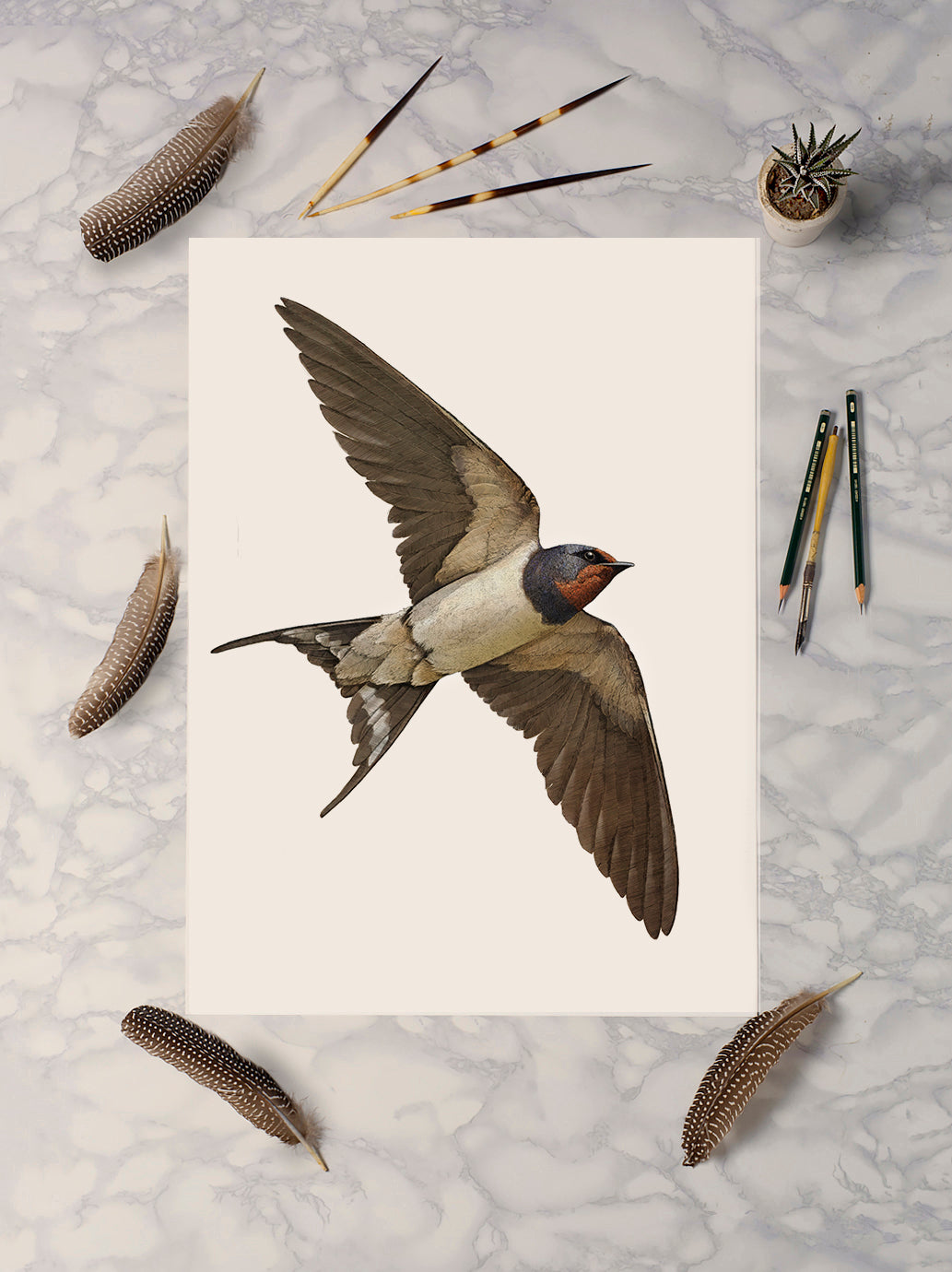 Barn Swallow Portrait Print | British bird print | Songbird print