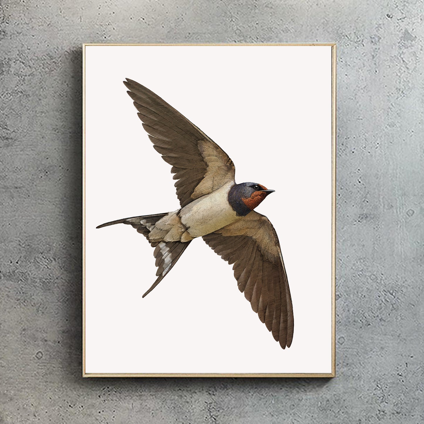 Barn Swallow Portrait Print | British bird print | Songbird print