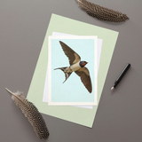 Barn Swallow - Greeting Card