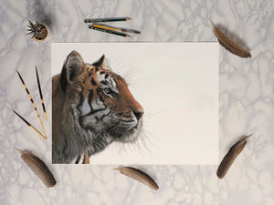 Bengal Tiger (Landscape)