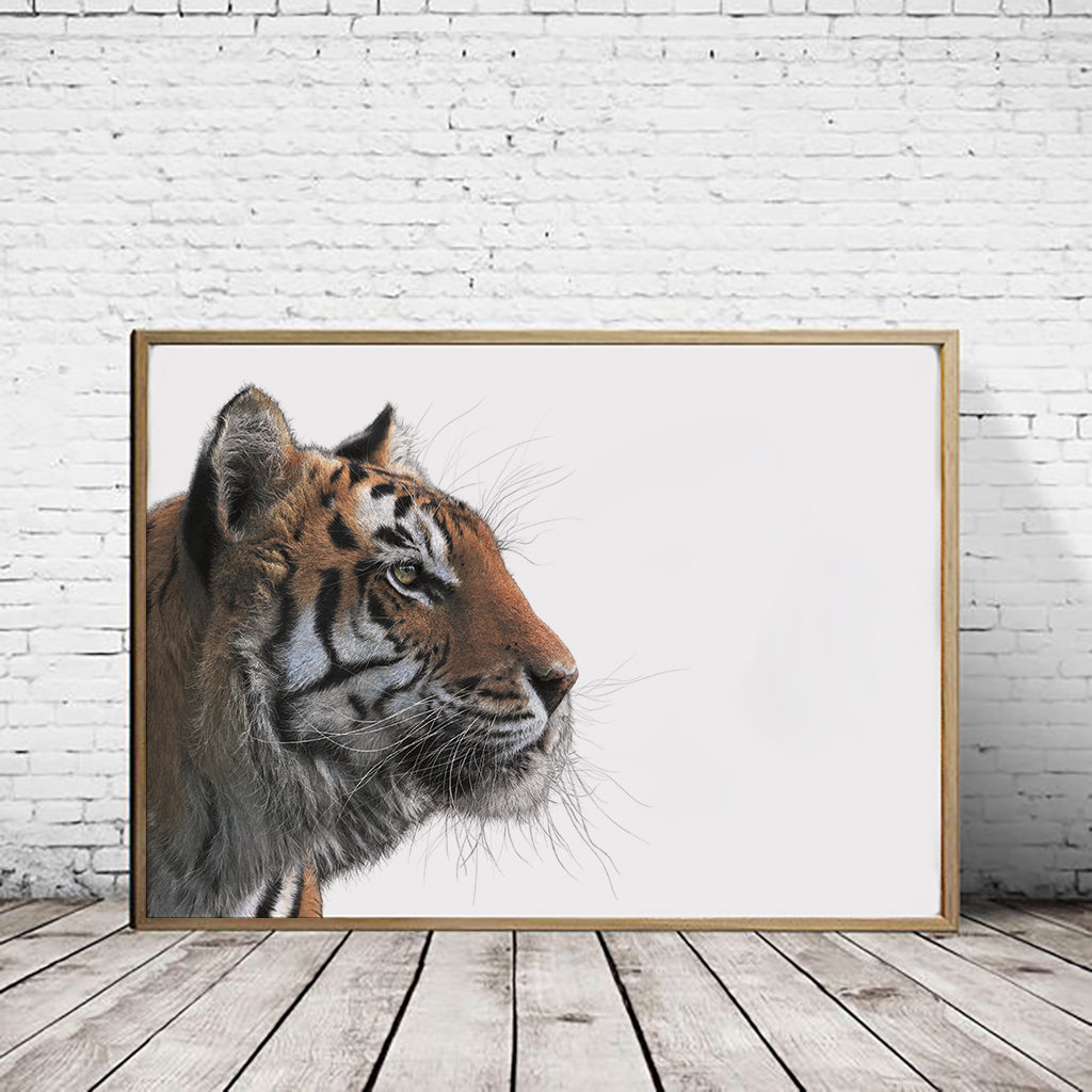 Bengal Tiger (Landscape)