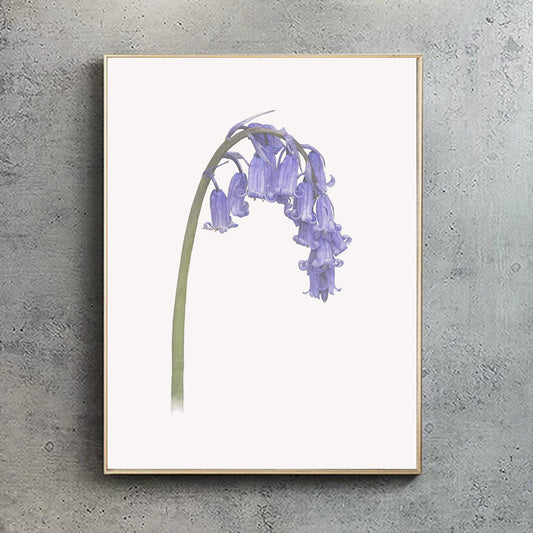 British Bluebell Print | Botanical Art | Botanical Print | Bluebell Print