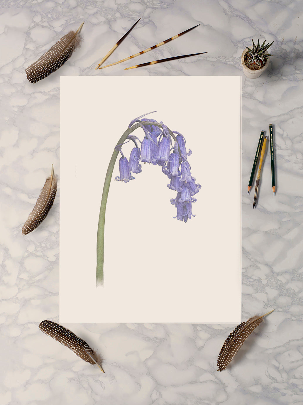 British Bluebell Print | Botanical Art | Botanical Print | Bluebell Print