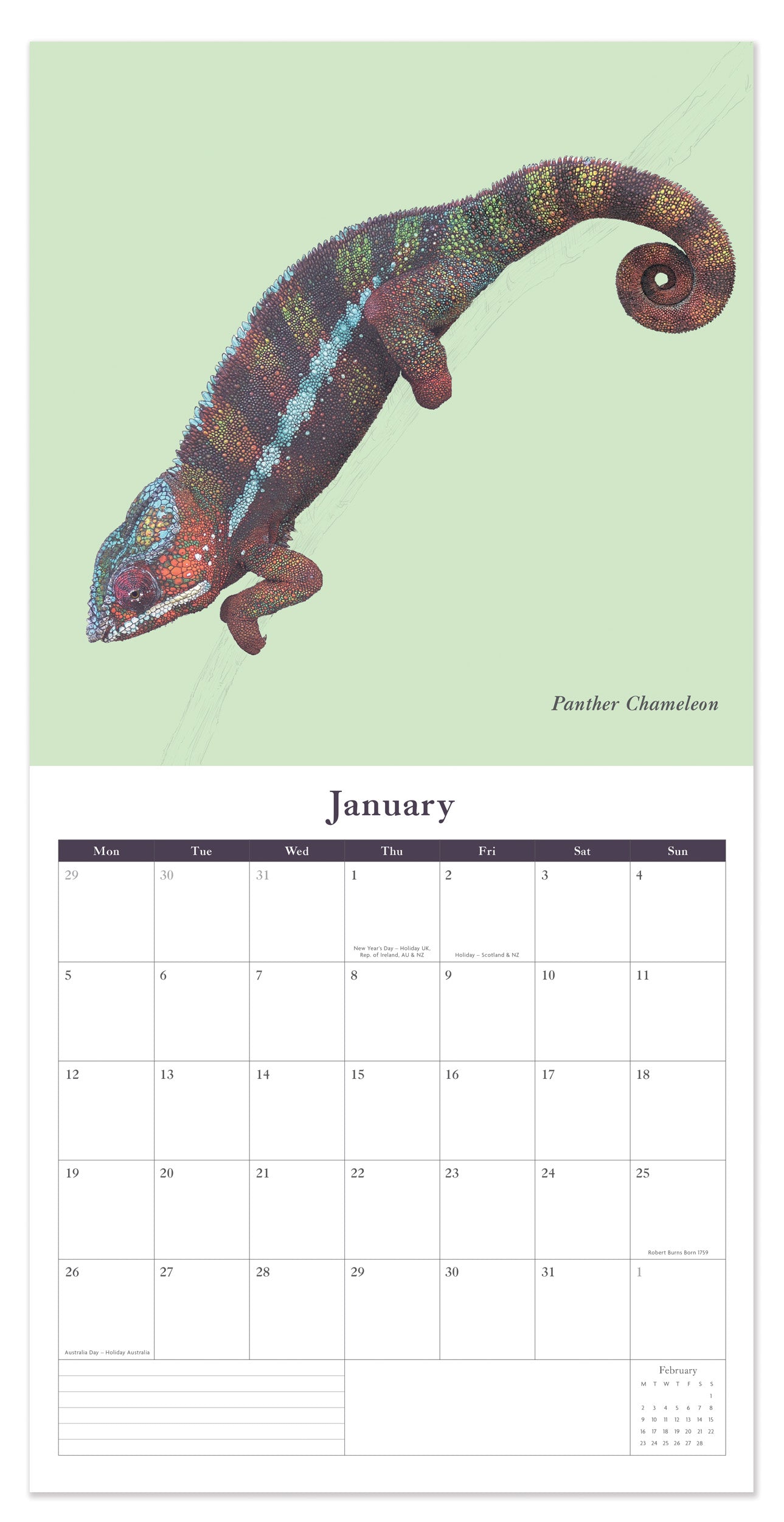 Limited edition - 2026 Wall Calendar | Square Wall Calendar (A)