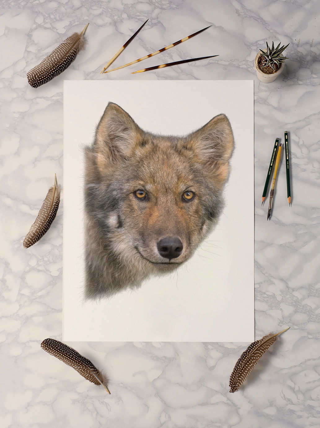 Coastal Wolf | Grey Wolf Print | Wolf Print | Wolf Portrait