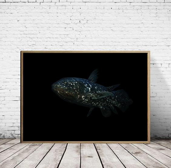 Coelacanth print - A4 Size - Reduced to clear