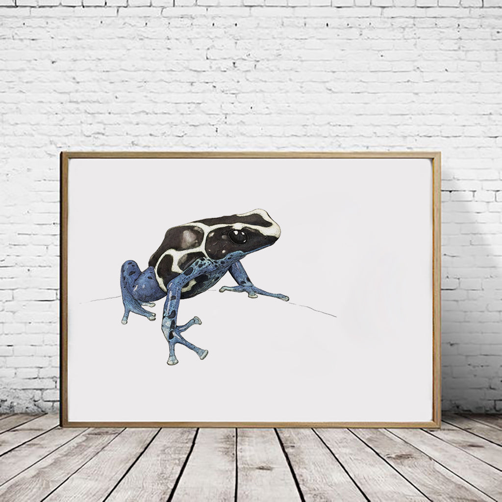 Dyeing Poison Dart Frog