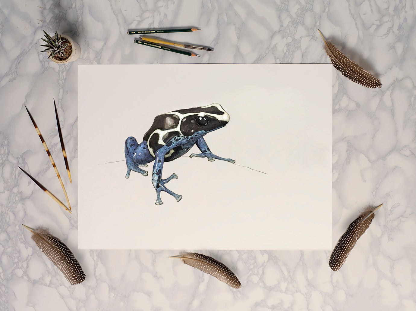 Dyeing Poison Dart Frog