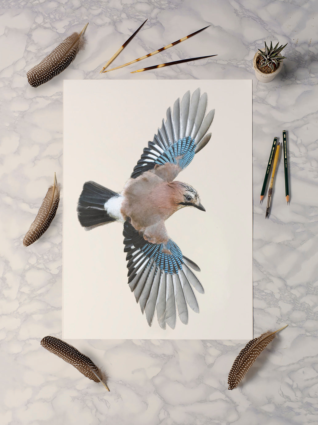 Eurasian Jay Print | Eurasian Jay Flying | Jay Print | Corvids