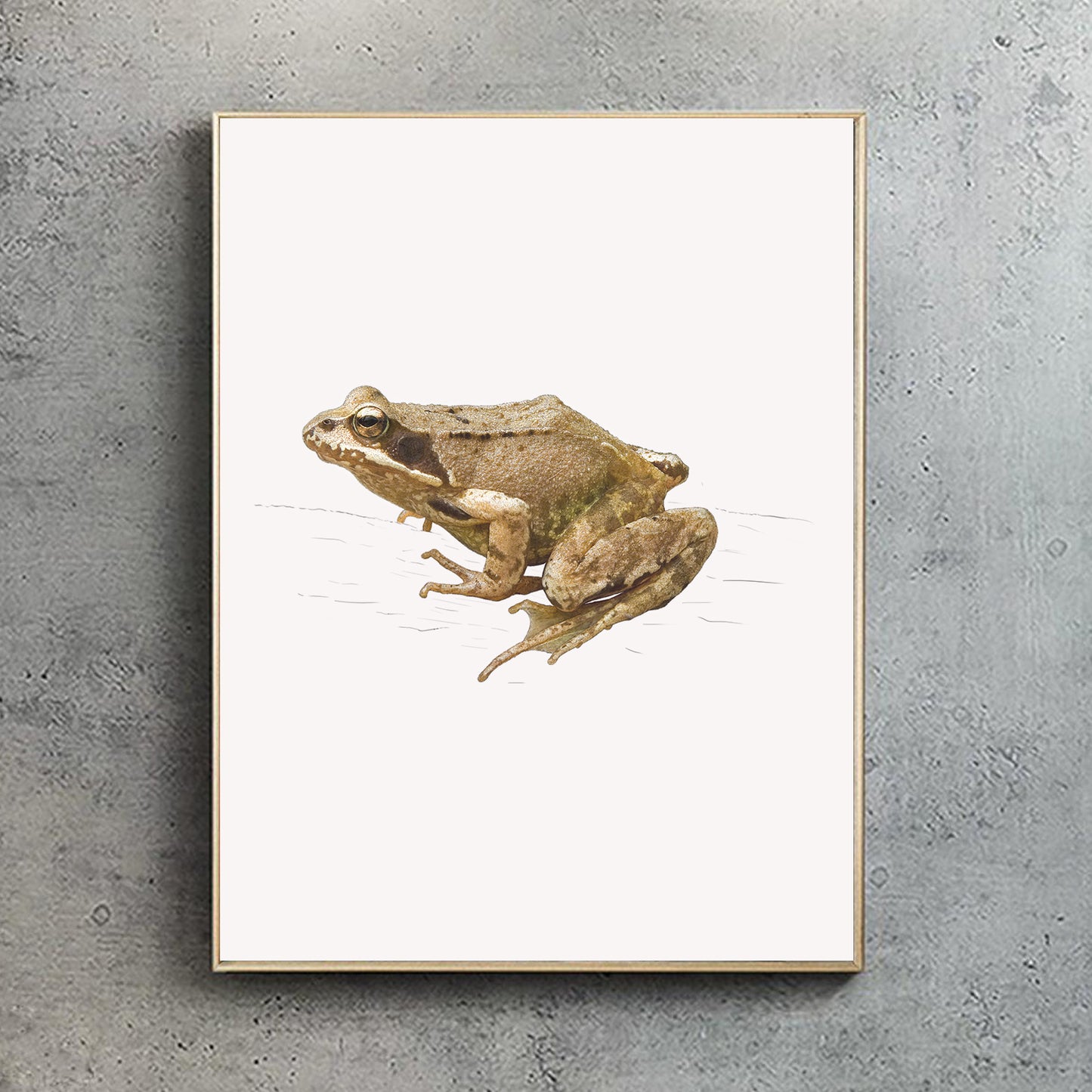 European Common Frog Print