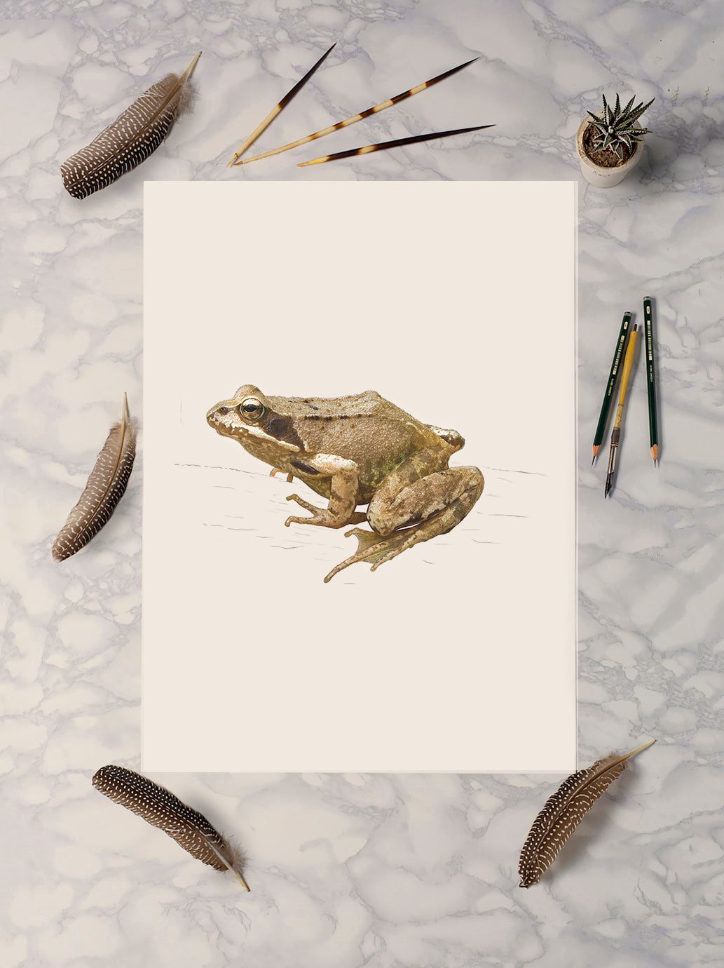 European Common Frog Print