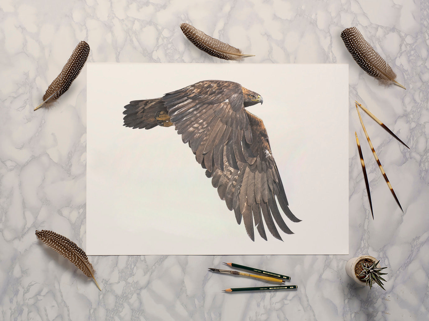 Golden Eagle