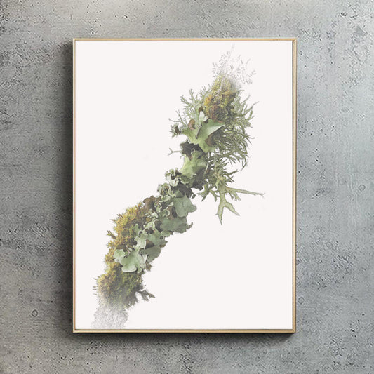 Green, Shield Lichen & Oak Moss | Botanical Art | Botanical Print | Moss