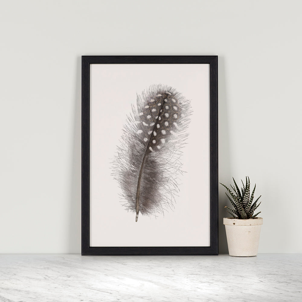 Helmeted Guieafowl Feather Mini Print