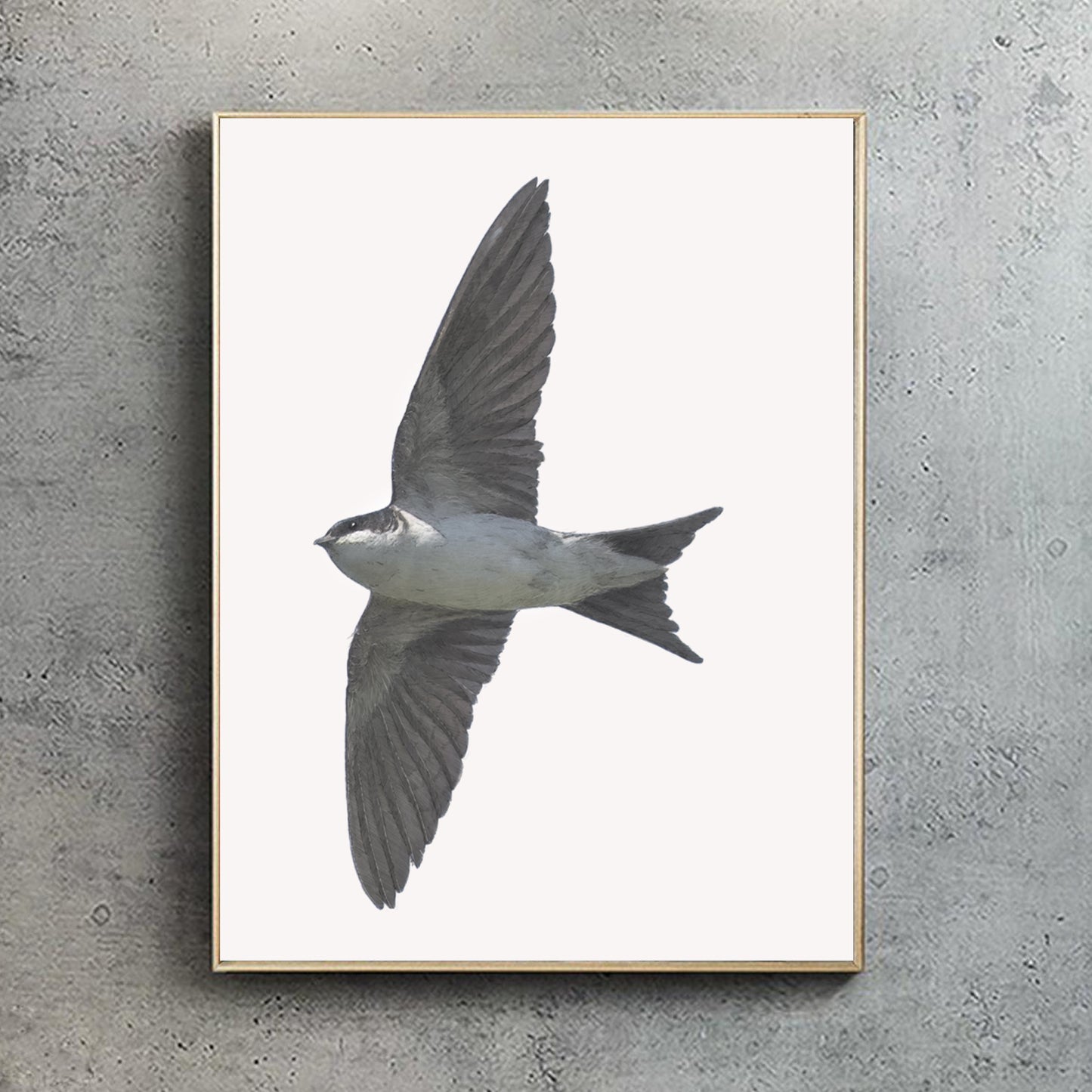 House Martin Portrait Print | British bird print | Songbird print