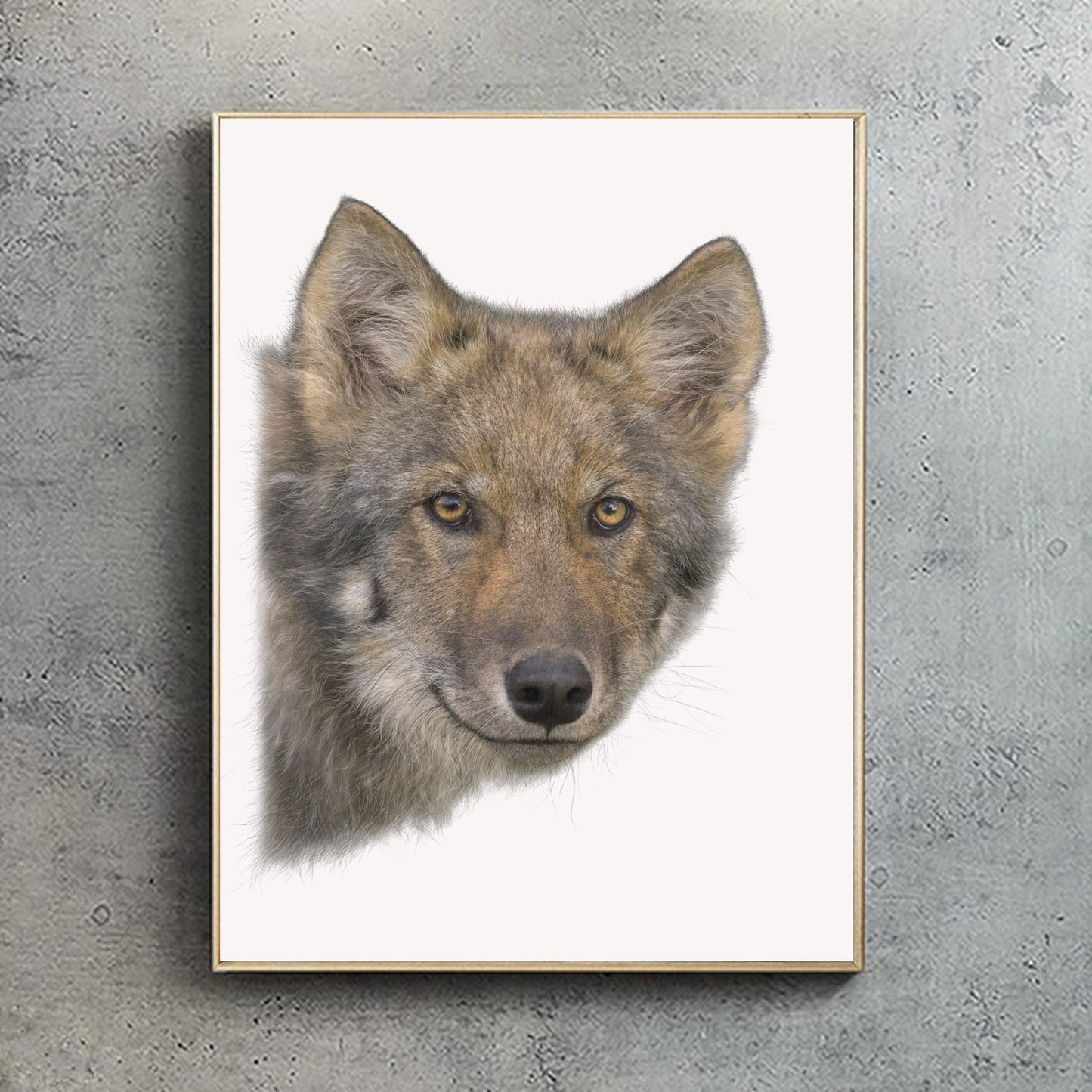 Coastal Wolf II | Grey Wolf Print | Wolf Print