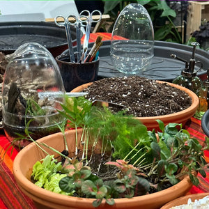 Bioactive Terrarium Workshop, Know and Love, 8th February 2024