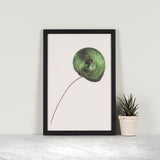 King Bird of Paradise Feather Mini Print