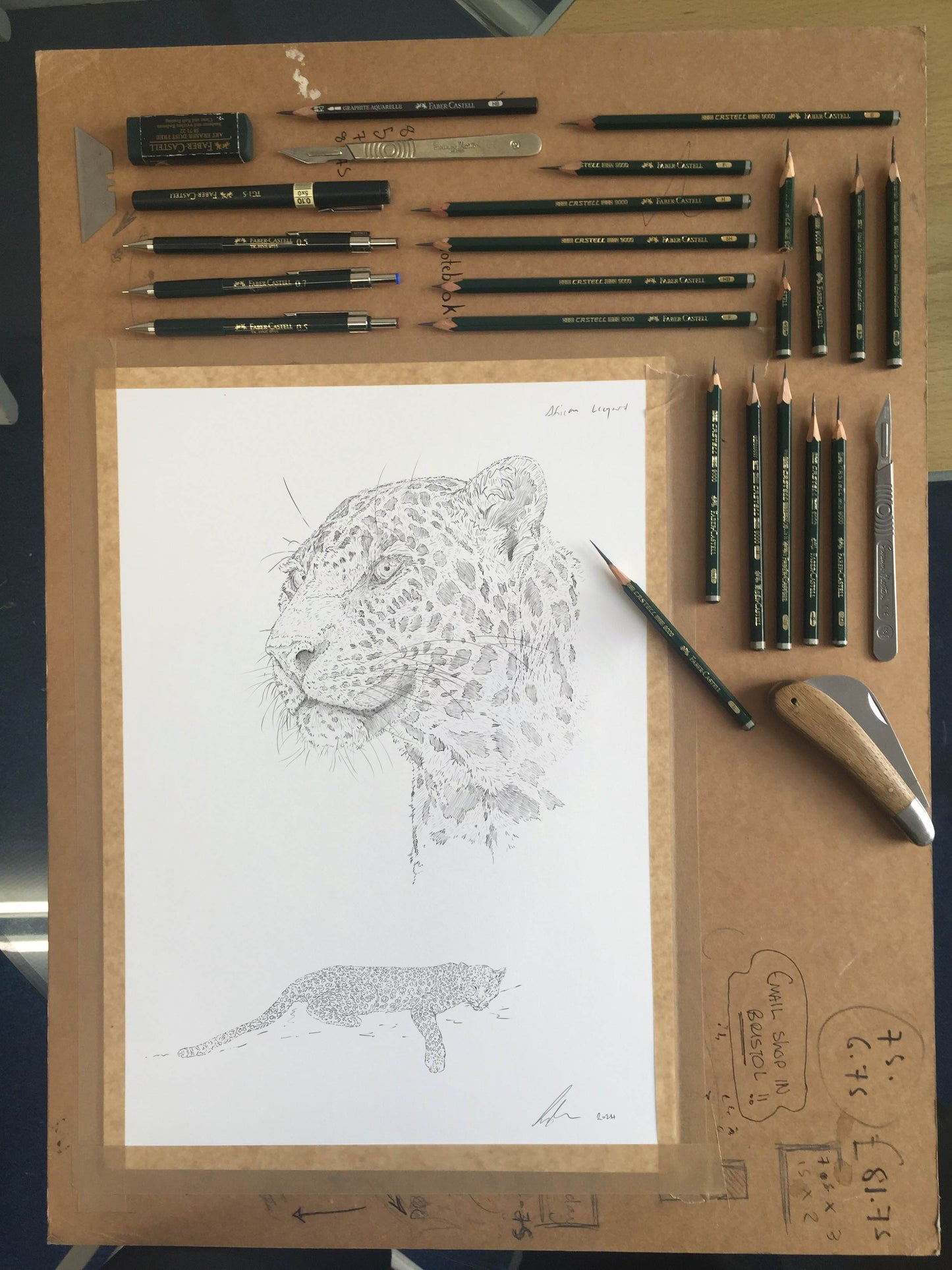 African Leopard Sketch I