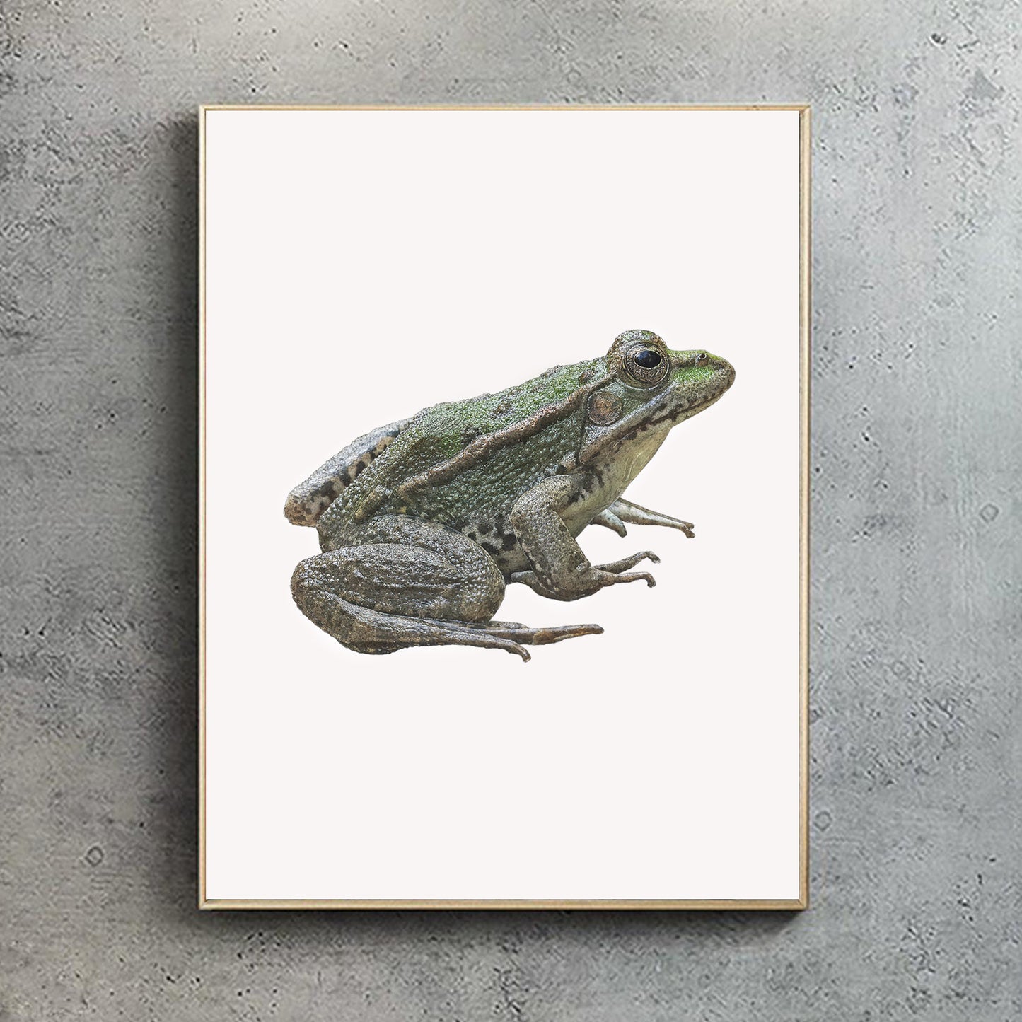 Marsh Frog Print