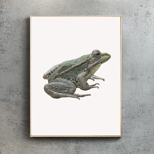 Marsh Frog Print