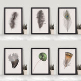 King Bird of Paradise Feather Mini Print