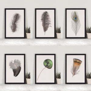 King Bird of Paradise Feather Mini Print