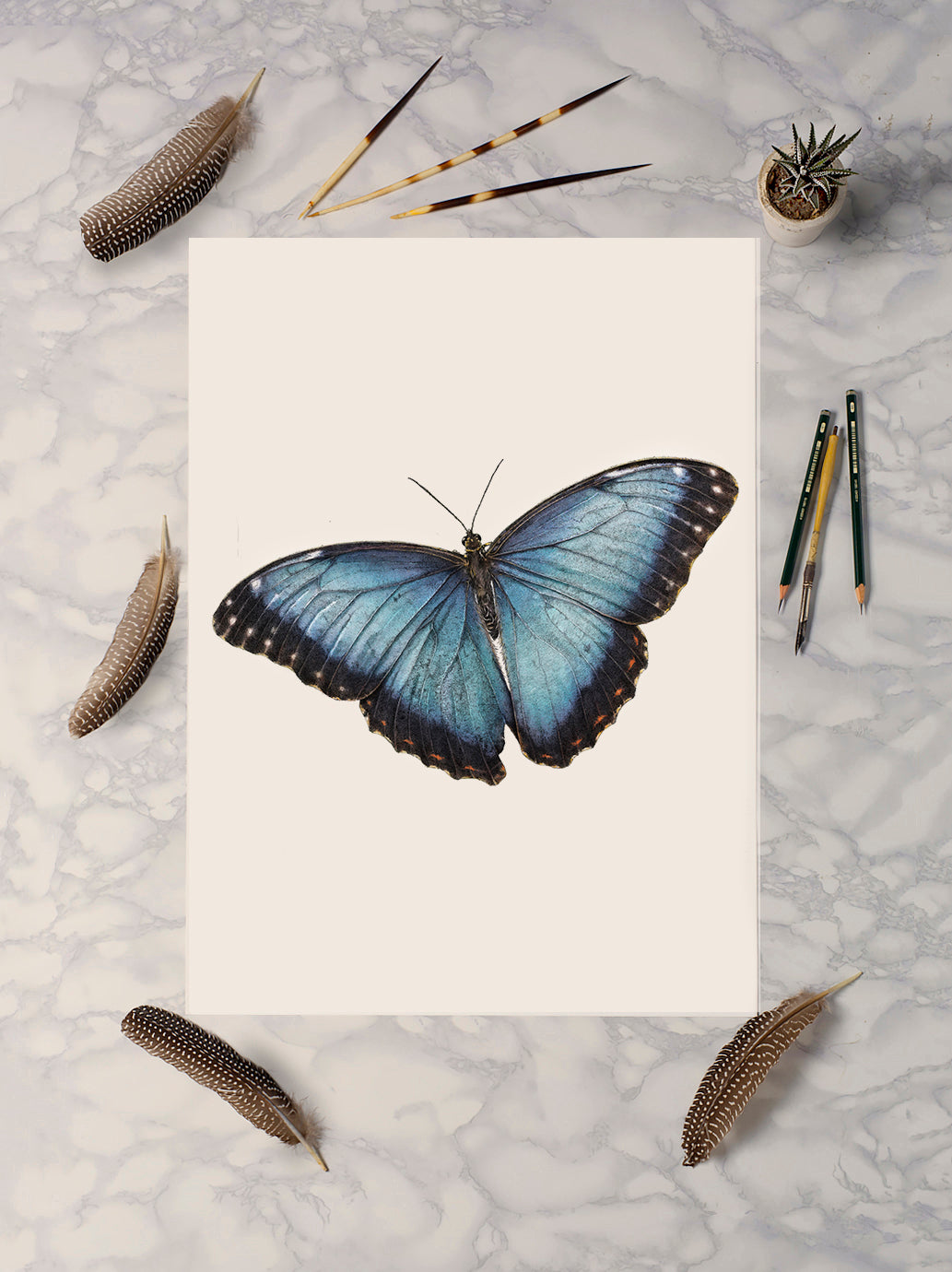 Blue Morpho Butterfly Print (Portrait)