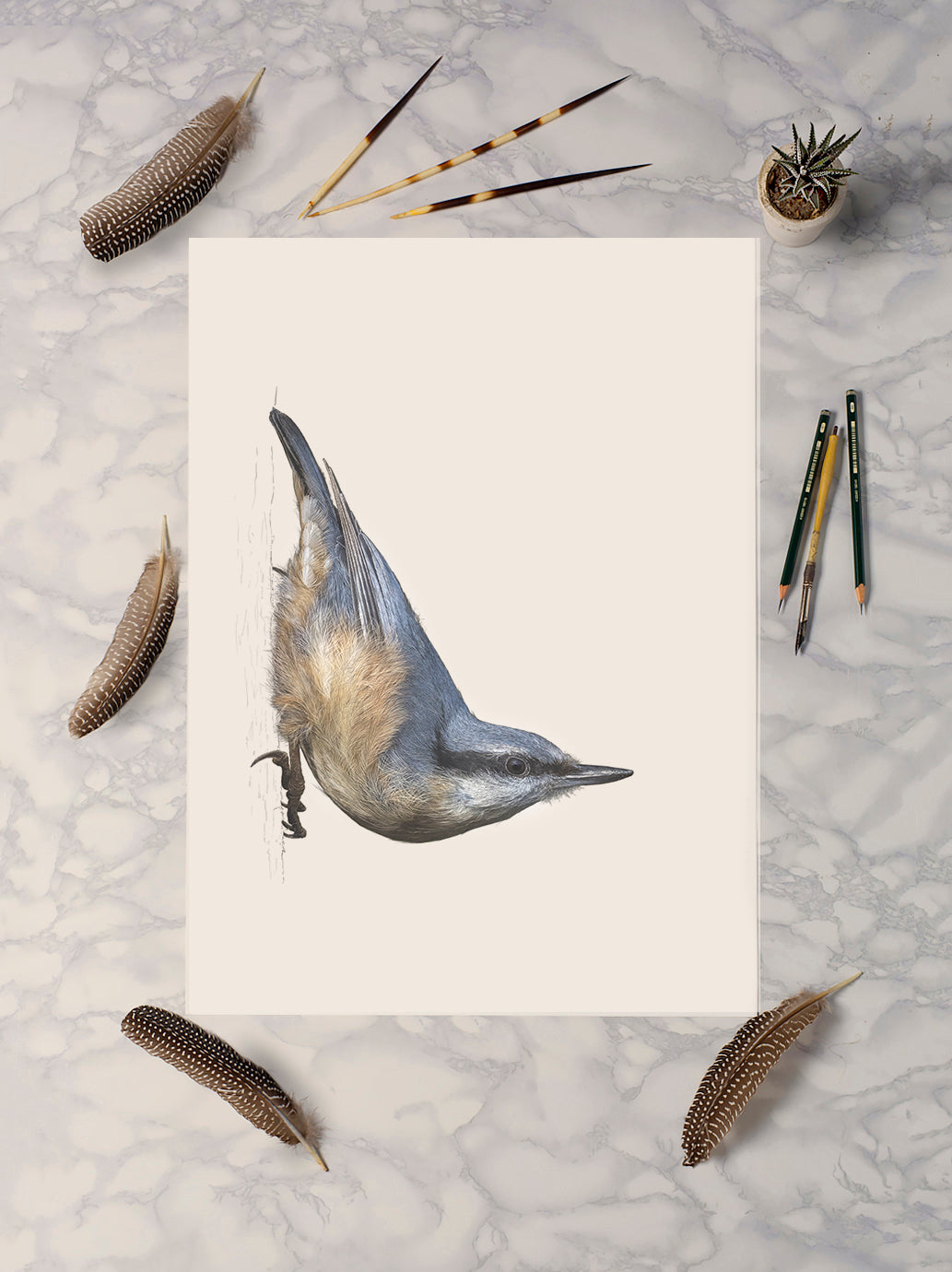Nuthatch print | British bird print | Songbird print