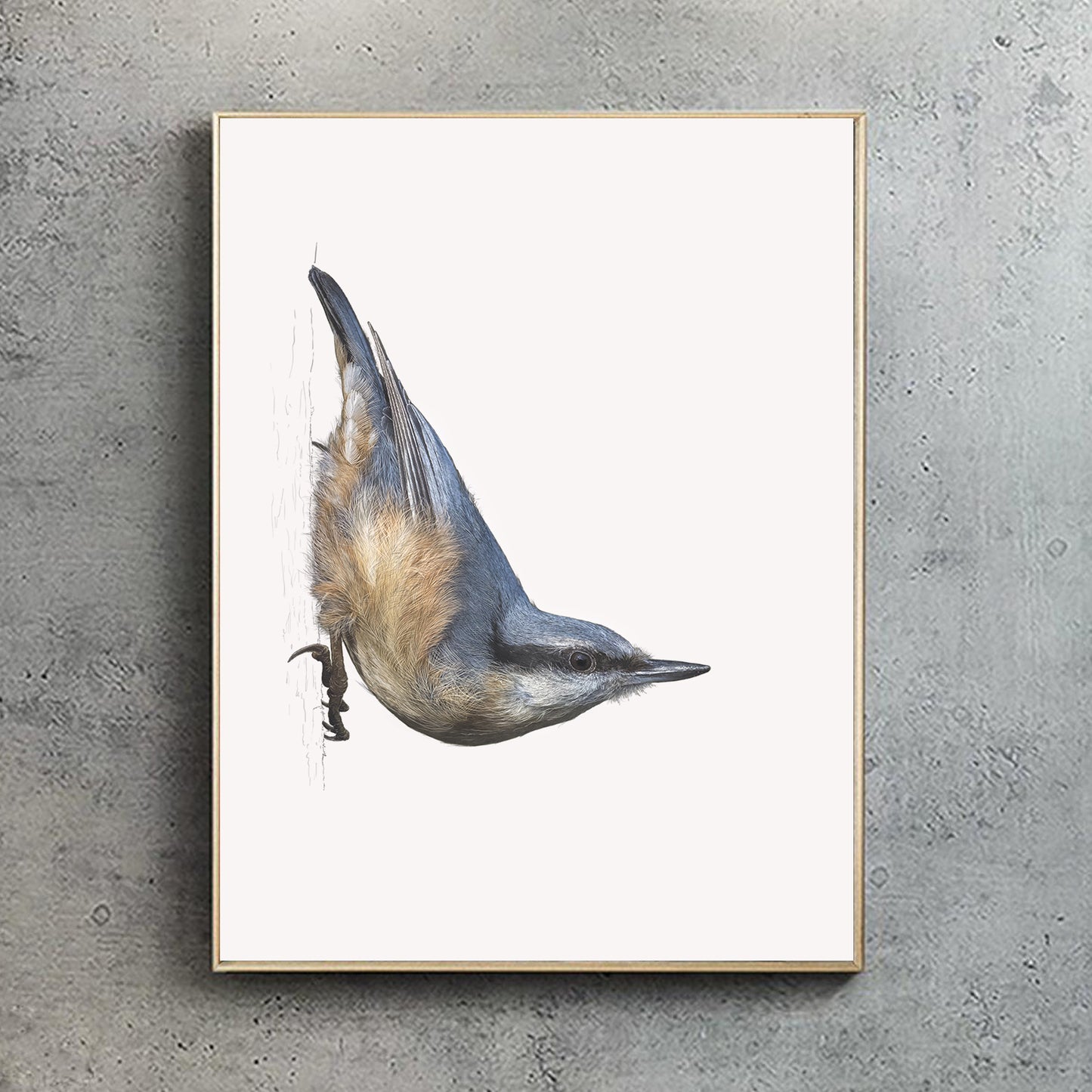 Nuthatch print | British bird print | Songbird print