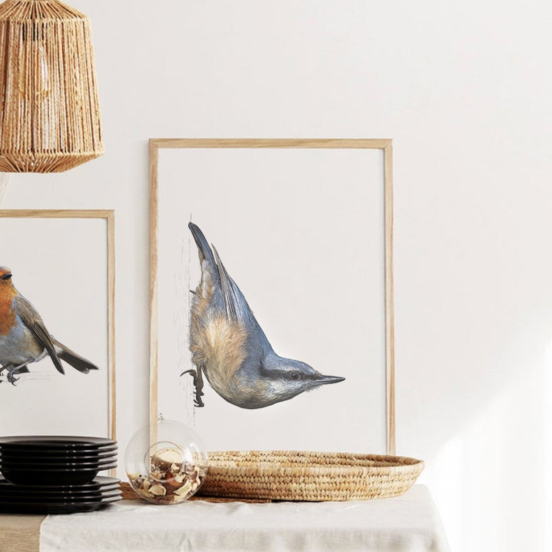 Nuthatch print | British bird print | Songbird print