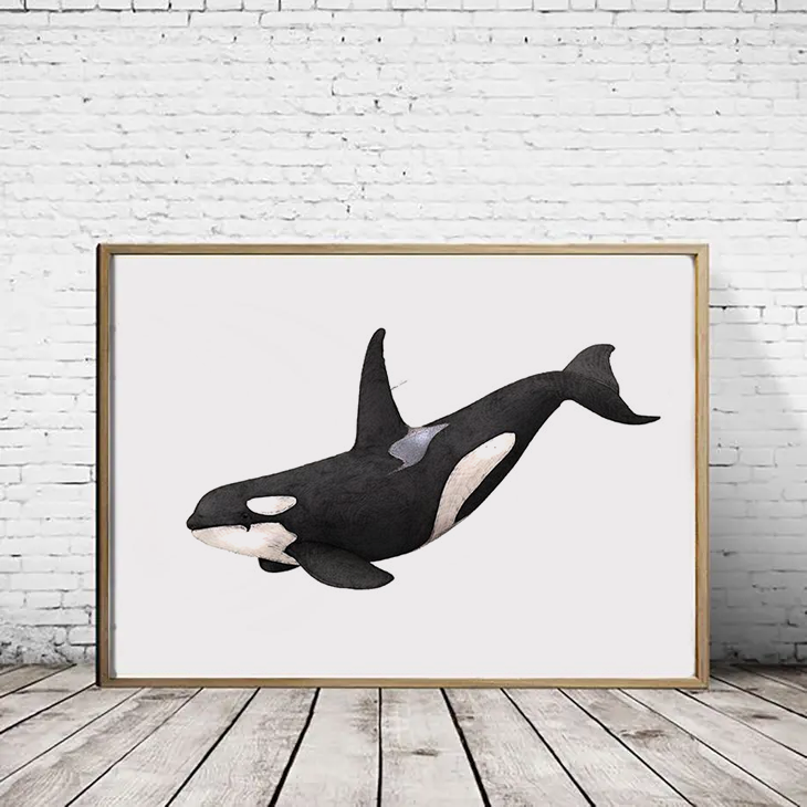 Orca