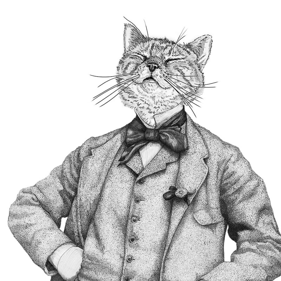 Oscar - Dandy Cat Print A3, Black and White version - Reduced to clear
