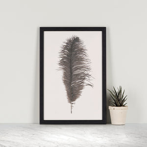 Ostrich Feather Mini Print
