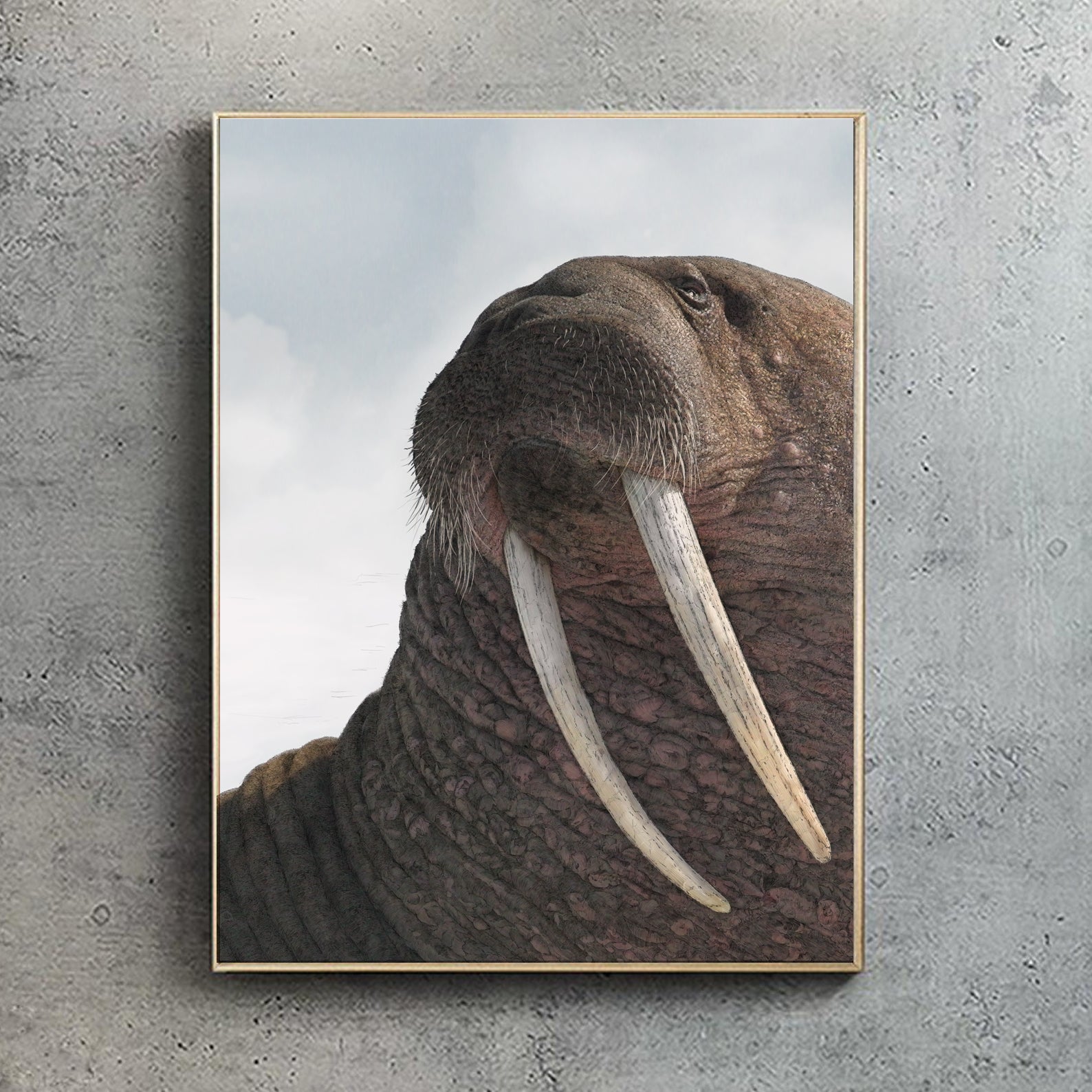 Pacific Walrus - Wildlife Print | Hidden Planet – Ben Rothery