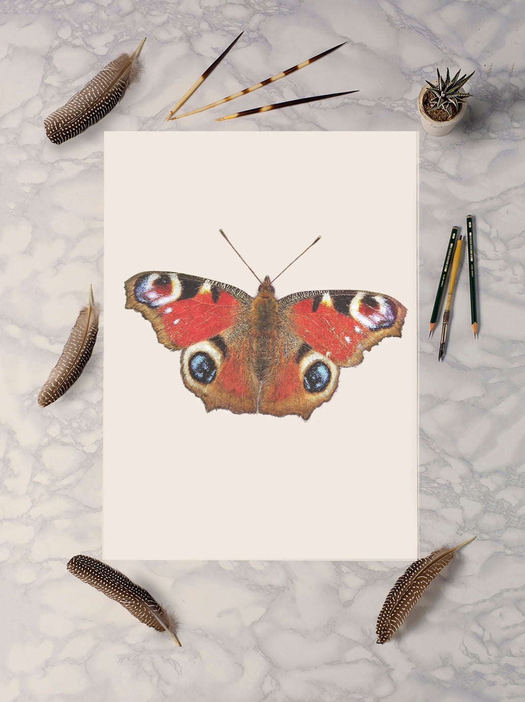 Peacock Butterfly Print (Portrait)