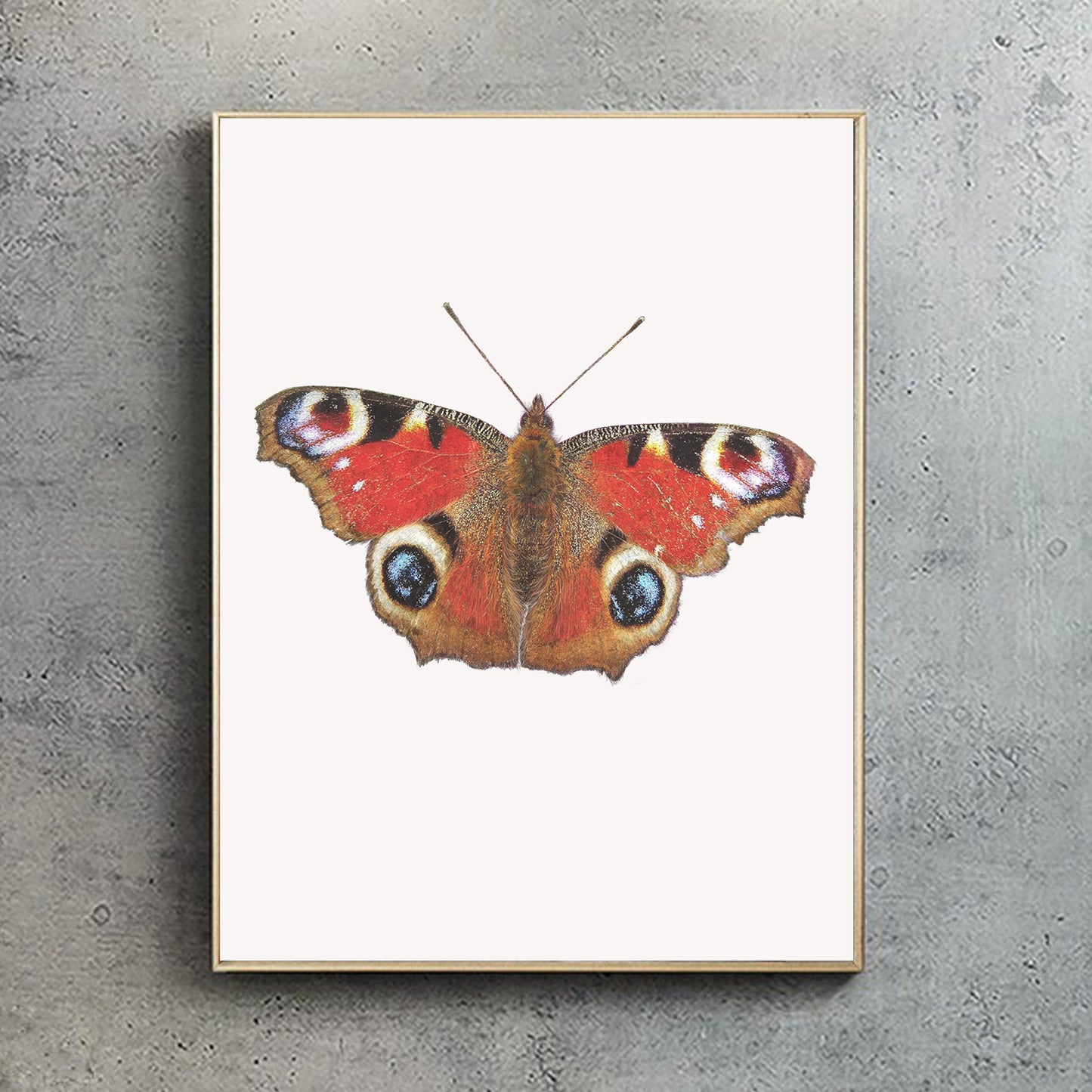 Peacock Butterfly Print (Portrait)
