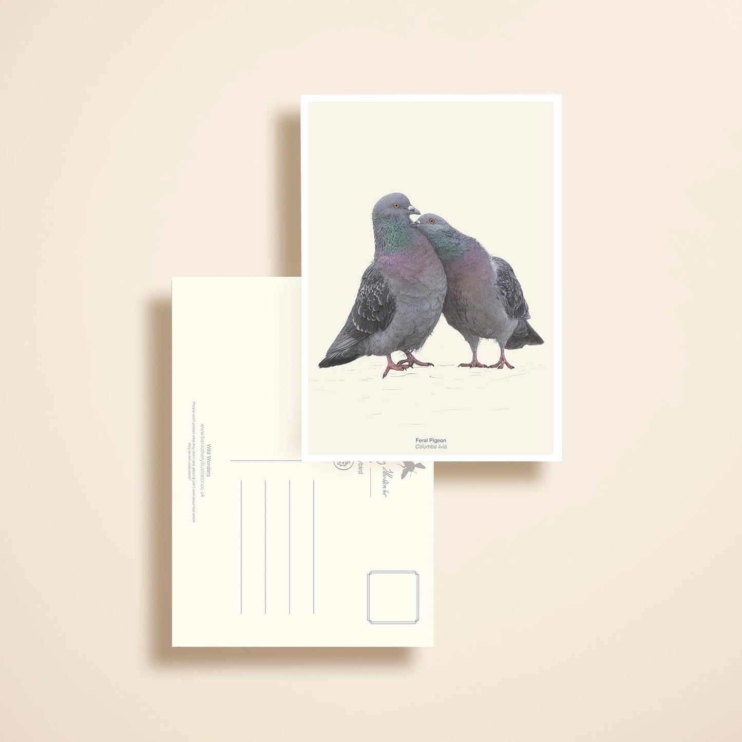 Wild Wonders - NEW BOOK - Preorder.