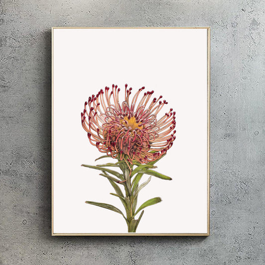 Pincushion Protea Print | Botanical Art | Botanical Print | Protea Print