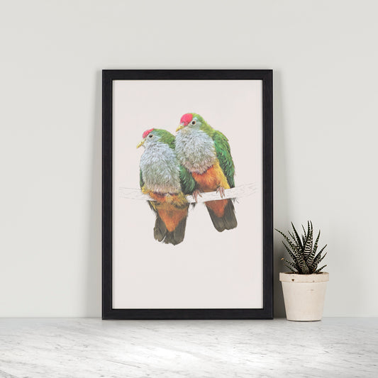 Love Birds Rose Crowned Fruit Dove print | Fruit Dove Print | Cute Pigeon Couple | Cute Birds Print