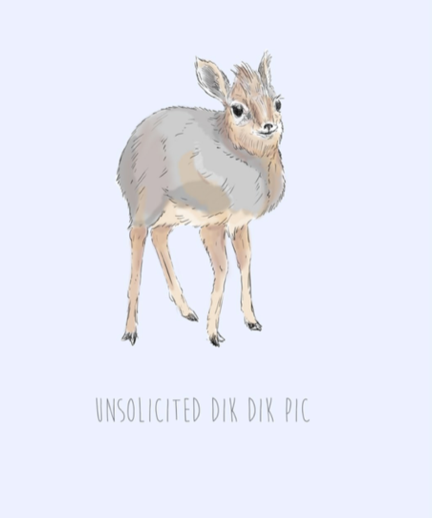 Unsolicited Dik Dik Pic - funny valentines Card