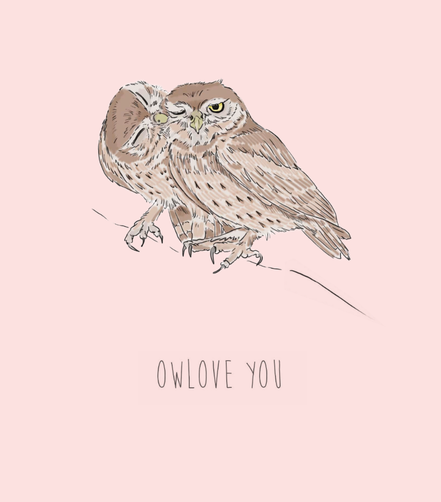 Owlove You - valentines Card